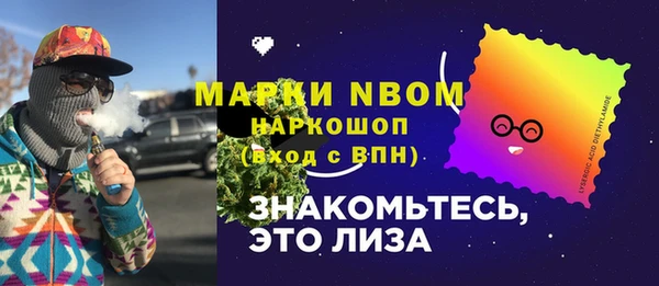 стаф Осинники