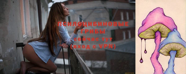 сатива Валуйки