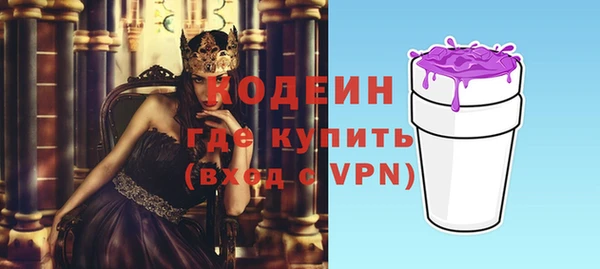 сатива Няндома