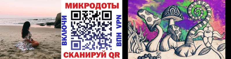 сколько стоит  Чусовой  Псилоцибиновые грибы ЛСД 