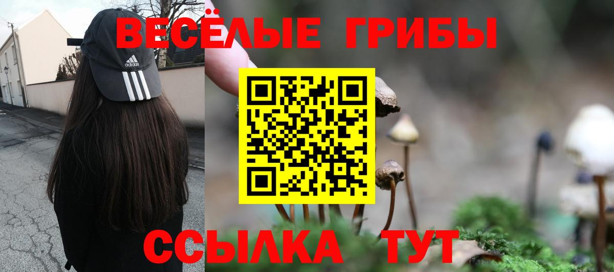 Псилоцибиновые грибы Magic Shrooms Чусовой